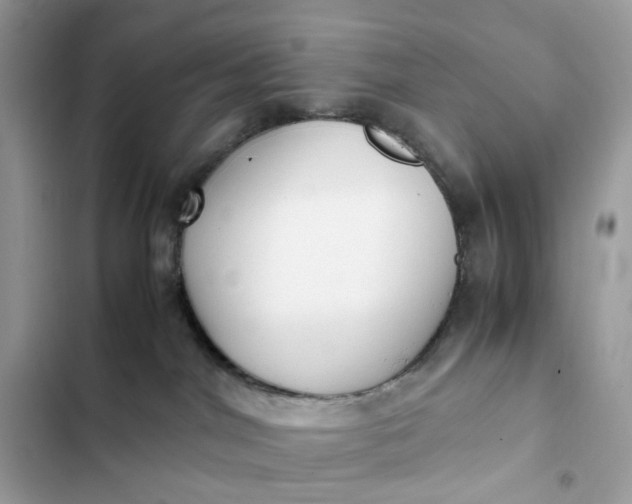 X0000102370044200808151845