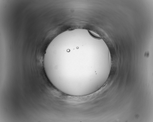 X0000102370045200808151845