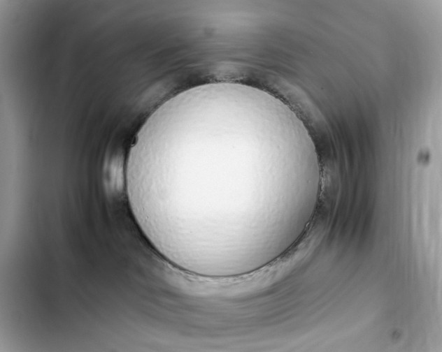 X0000102370046200808151845