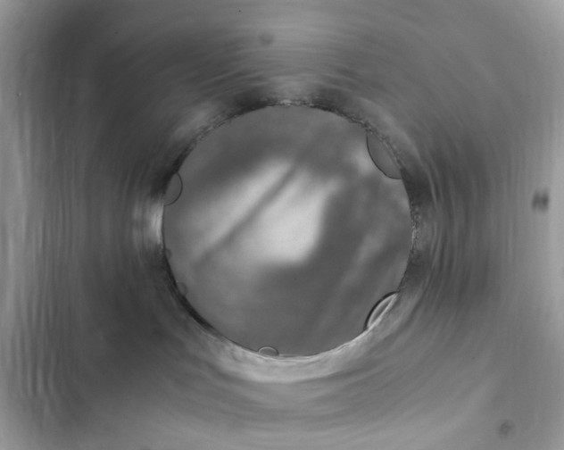 X0000102370047200808151845