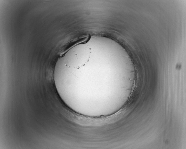 X0000102370048200808151845