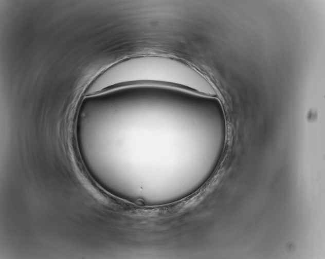 X0000102370049200808151844