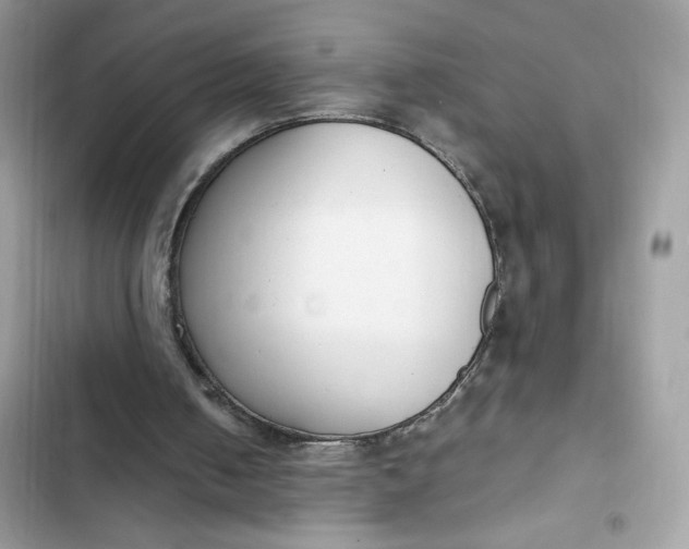 X0000102370050200808151844