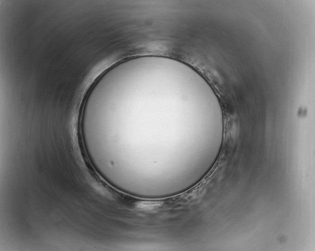 X0000102370051200808151844