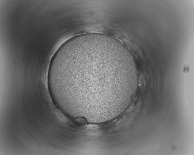 X0000102370052200808151844