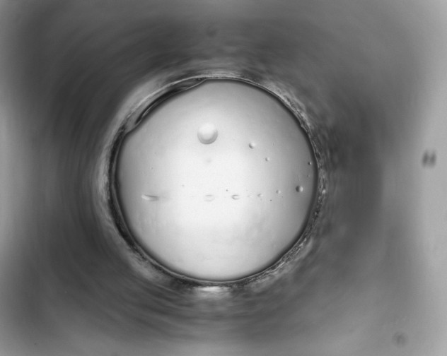 X0000102370053200808151844