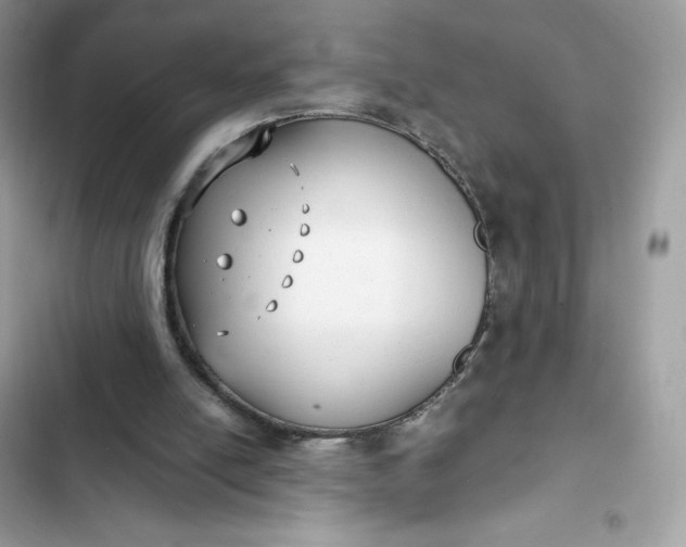 X0000102370054200808151844