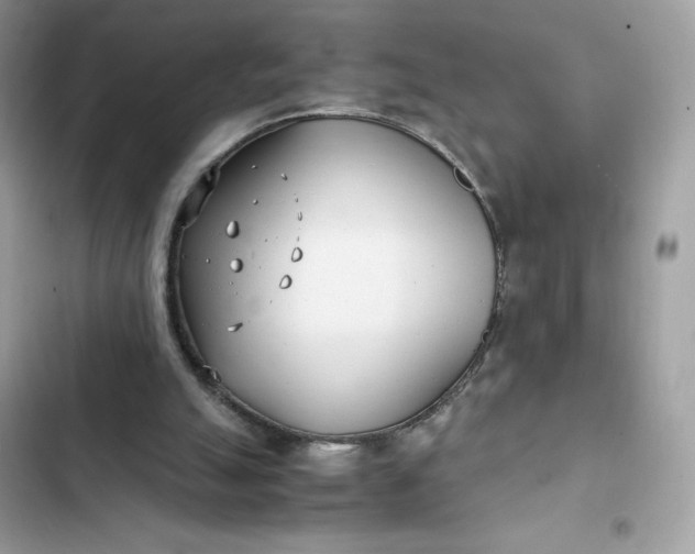 X0000102370055200808151844