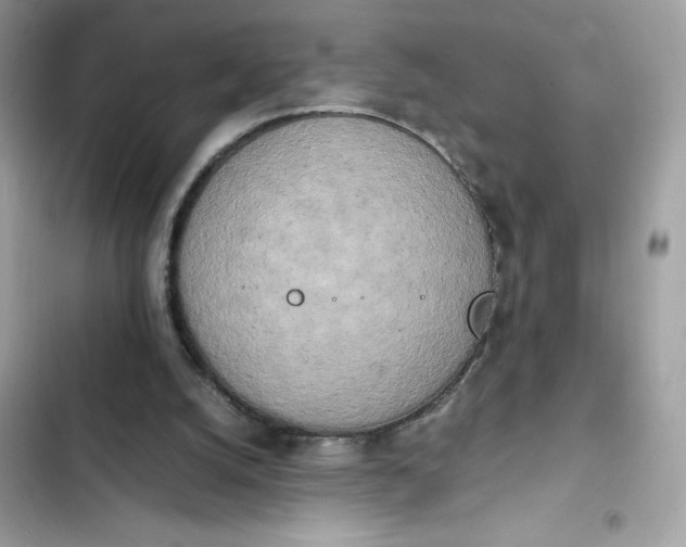 X0000102370056200808151844