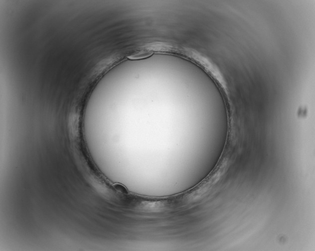 X0000102370057200808151844