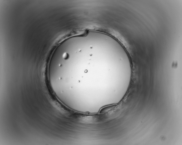 X0000102370058200808151844