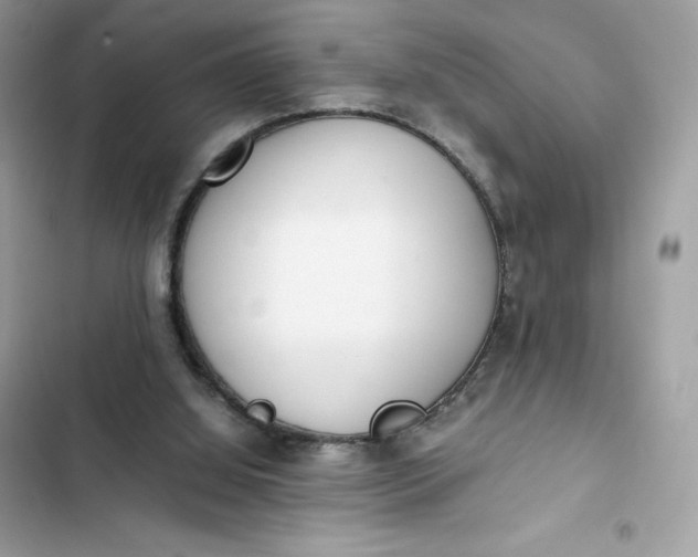 X0000102370060200808151844