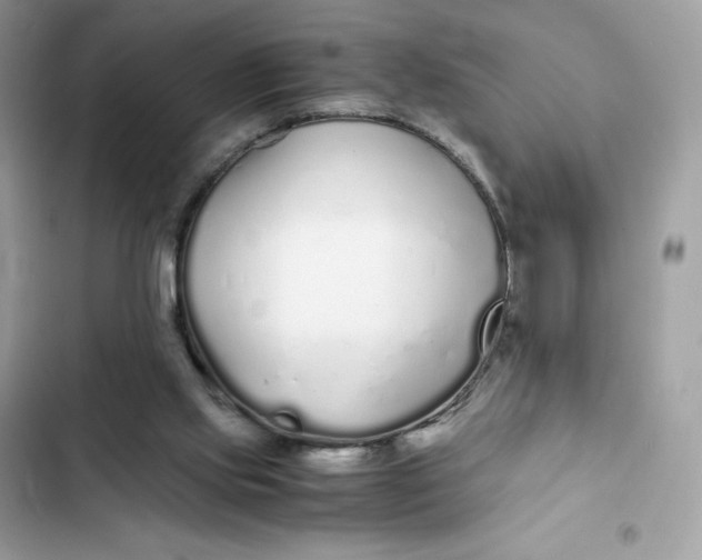 X0000102370061200808151844