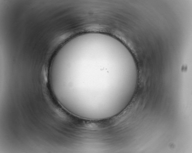 X0000102370062200808151844