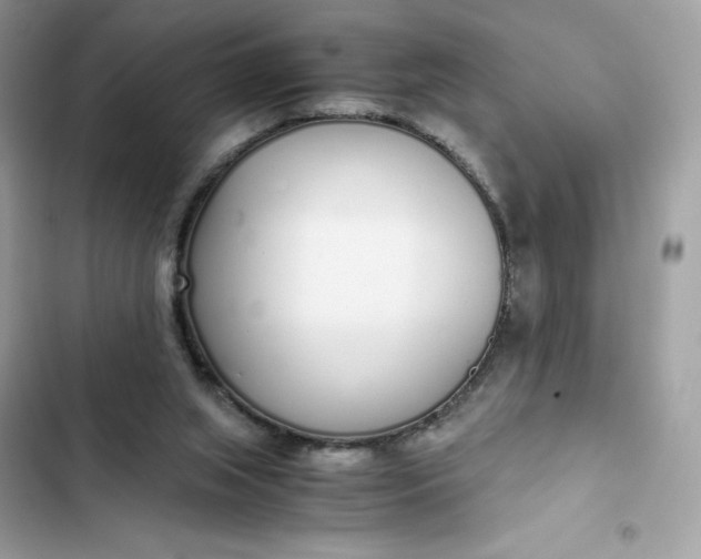 X0000102370063200808151844