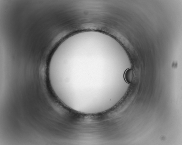 X0000102370064200808151844