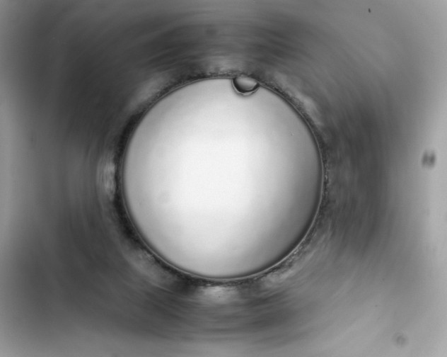 X0000102370067200808151844