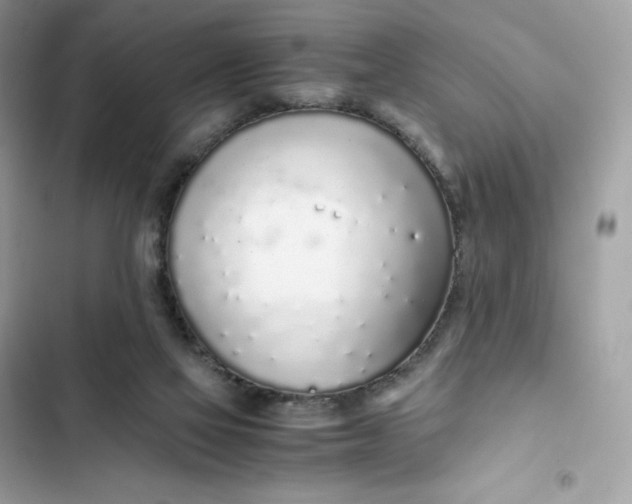 X0000102370069200808151844