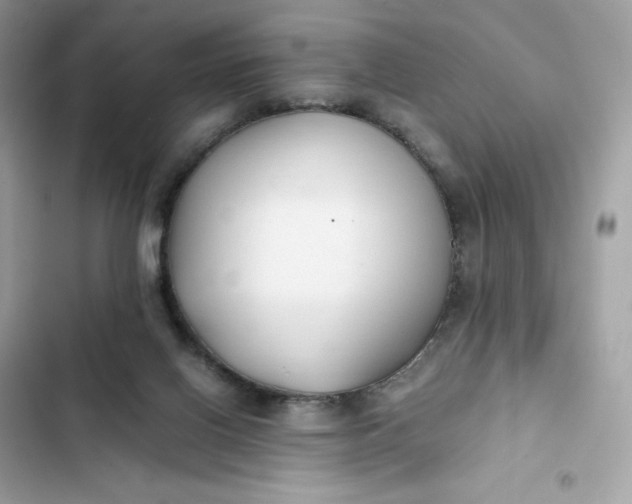 X0000102370070200808151844