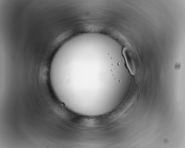 X0000102370071200808151844