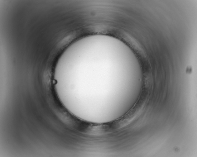 X0000102370072200808151844