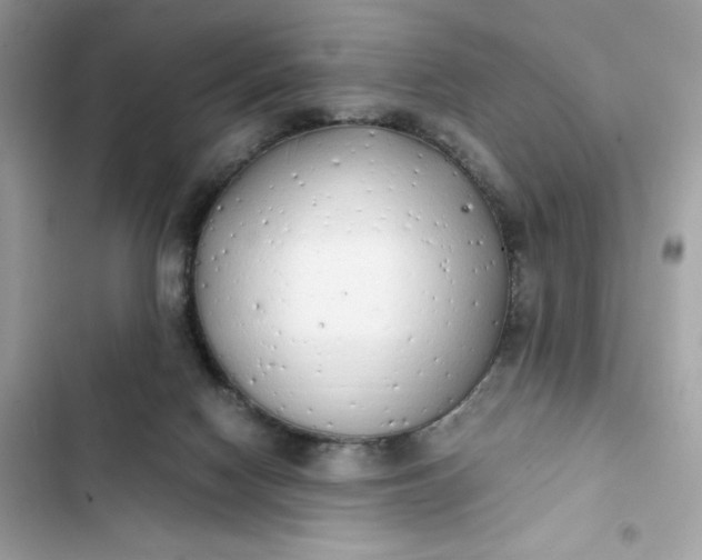 X0000102370074200808151844