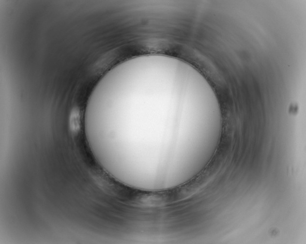 X0000102370075200808151844