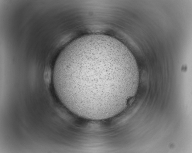 X0000102370076200808151845