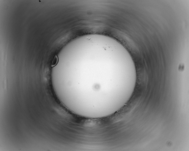 X0000102370077200808151845