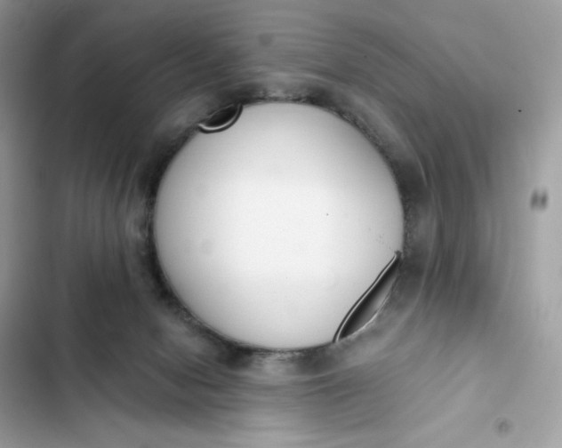 X0000102370078200808151845