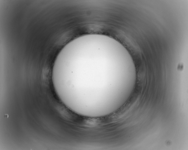 X0000102370079200808151845