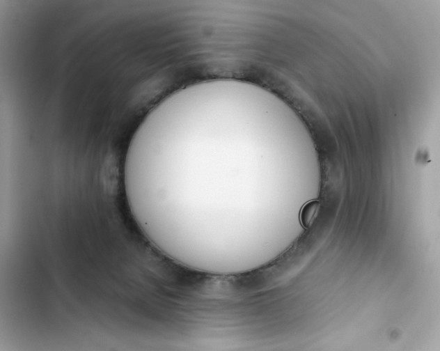 X0000102370080200808151845