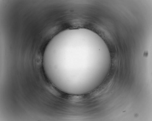 X0000102370081200808151845