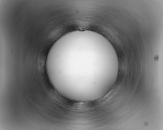 X0000102370082200808151845