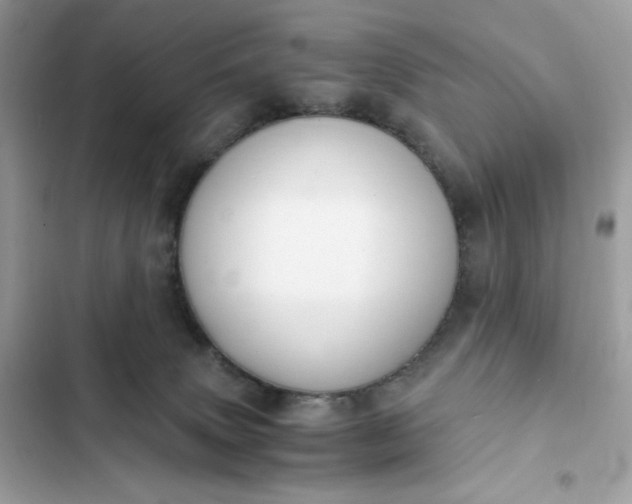 X0000102370083200808151845