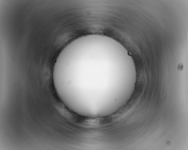 X0000102370084200808151845