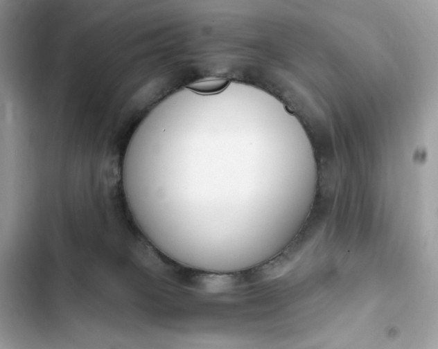 X0000102370085200808151845