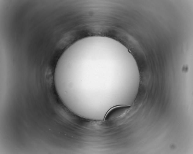 X0000102370086200808151845