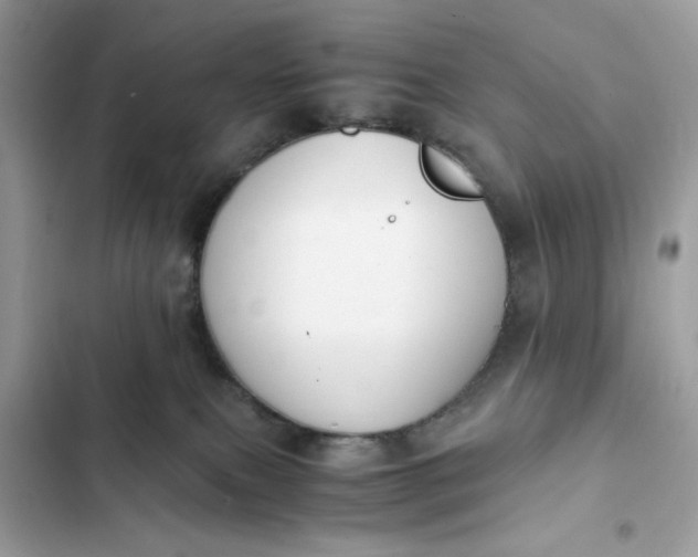 X0000102370087200808151845