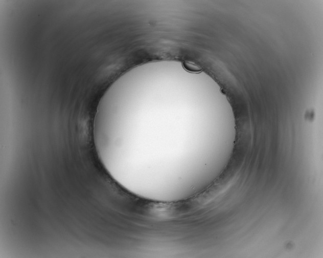 X0000102370088200808151845