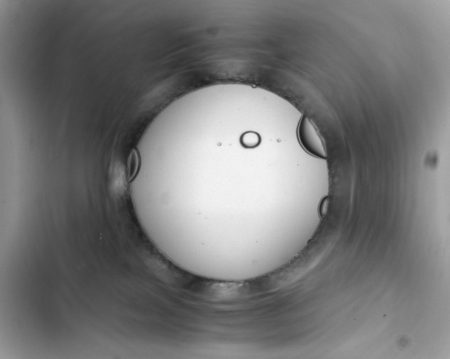 X0000102370089200808151845