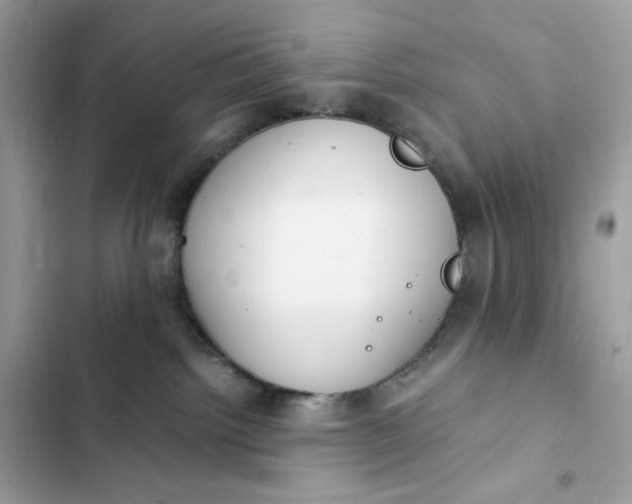 X0000102370092200808151845