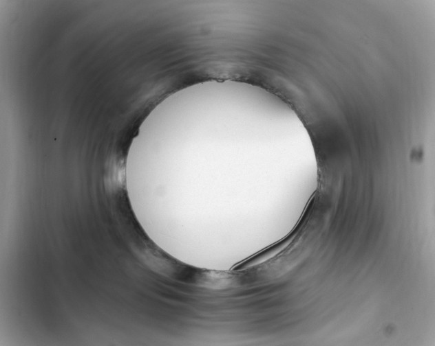 X0000102370095200808151845