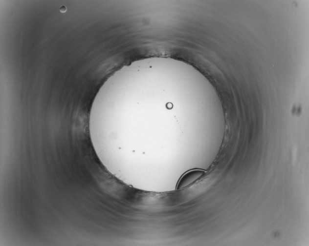 X0000102370096200808151845