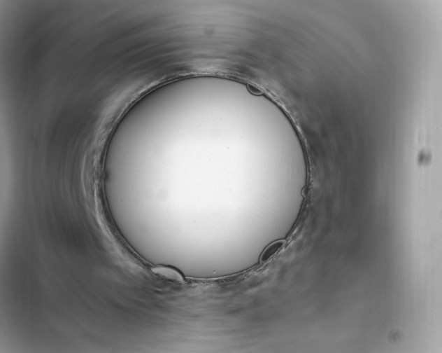 X0000102370097200808151844