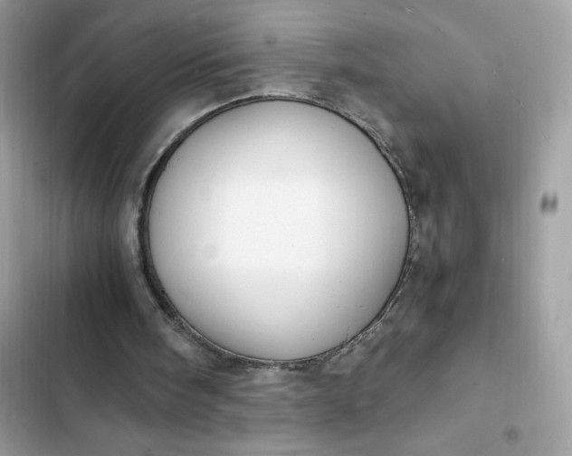 X0000102370098200808151844