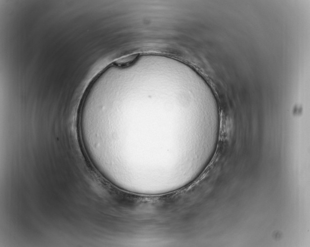 X0000102370099200808151844