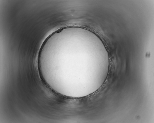 X0000102370100200808151844