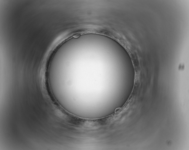 X0000102370101200808151844