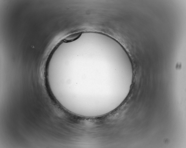 X0000102370103200808151844